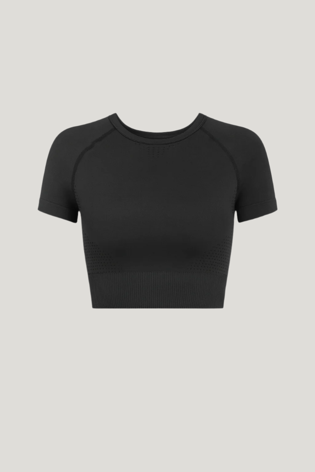 Seamless Short Sleeve Crop Tee